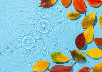 Gut für die Gesundheit: Schwimmen im Herbst